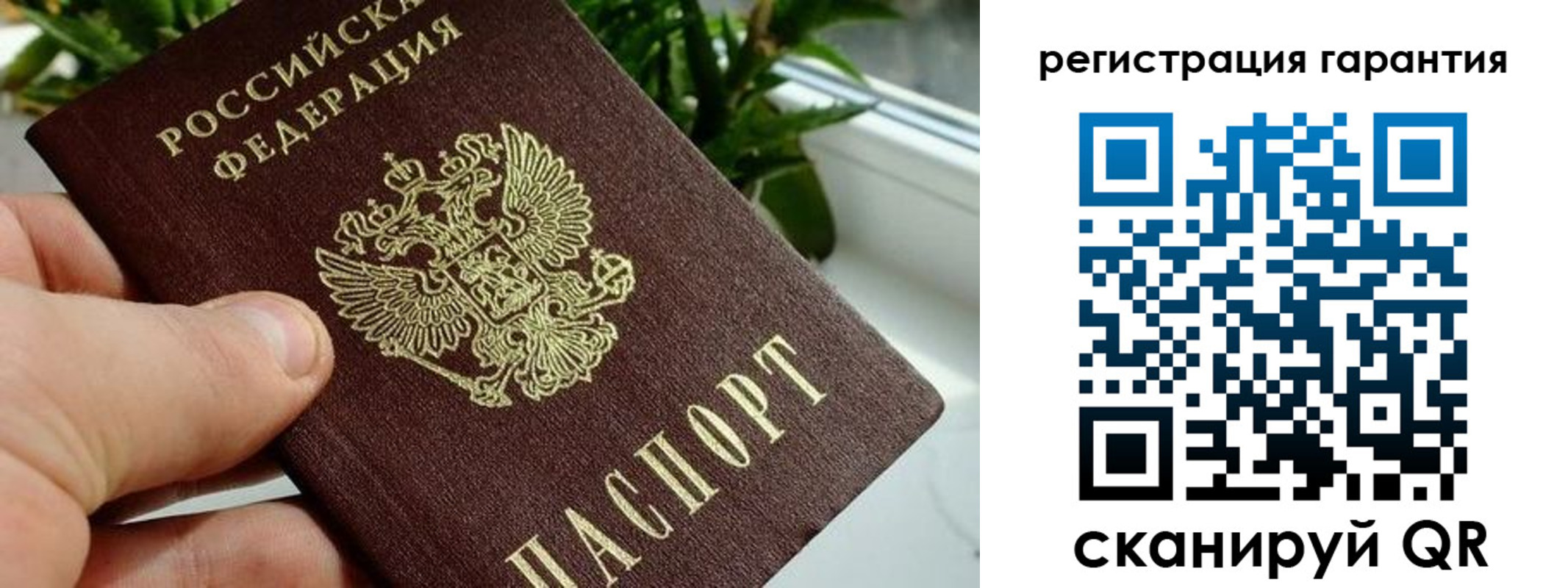 временная регистрация надежно в Москве